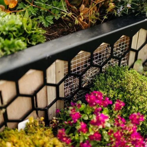 Bioscapes BioCube Wildlife Planter