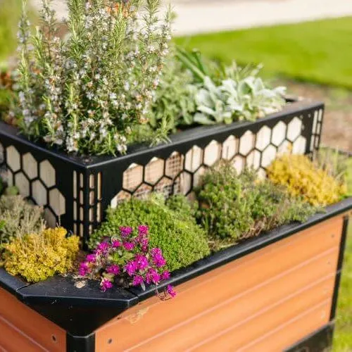 Bioscapes BioCube Wildlife Planter