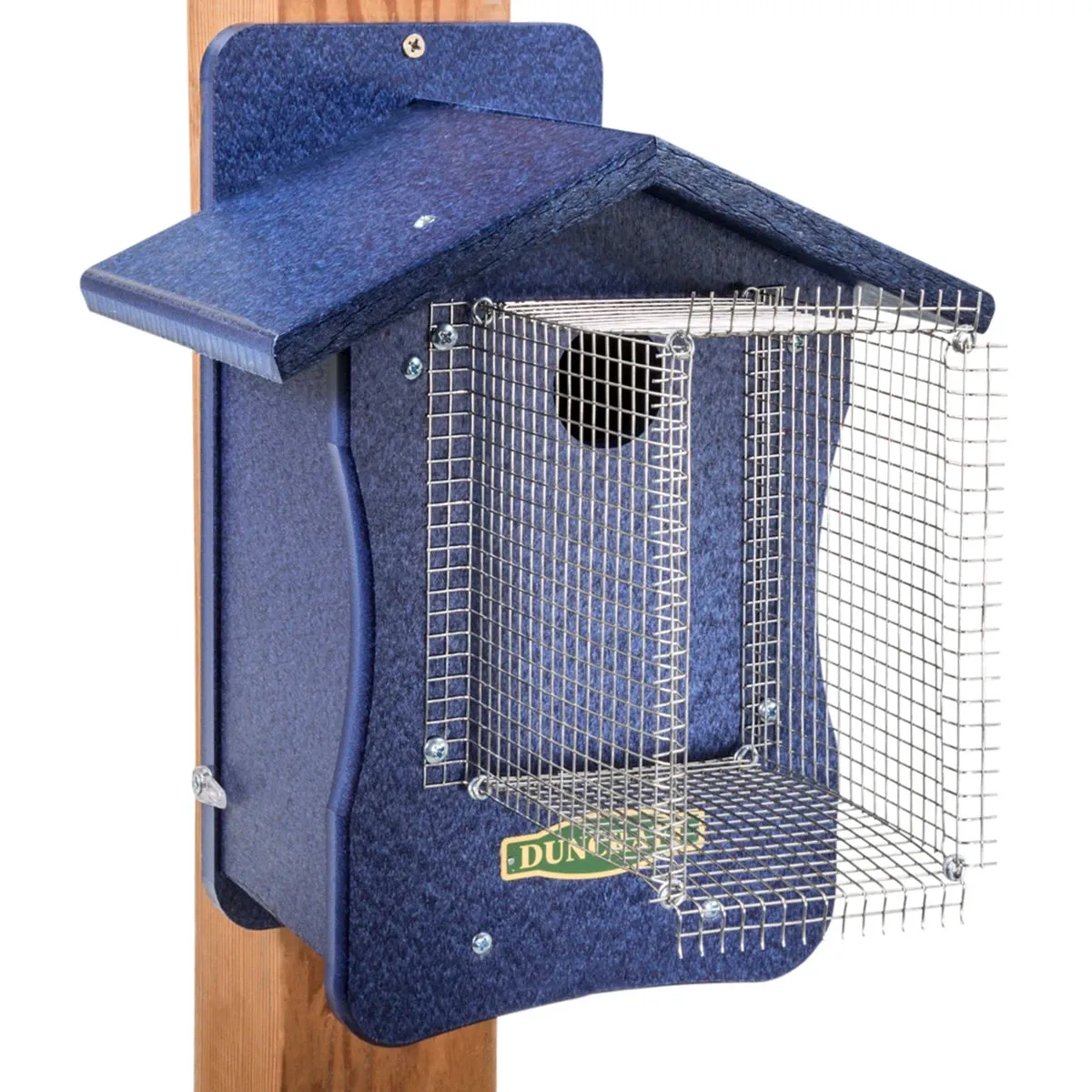 Duncraft Bird-Safe® EZ Observation Noel Guarded Bluebird House