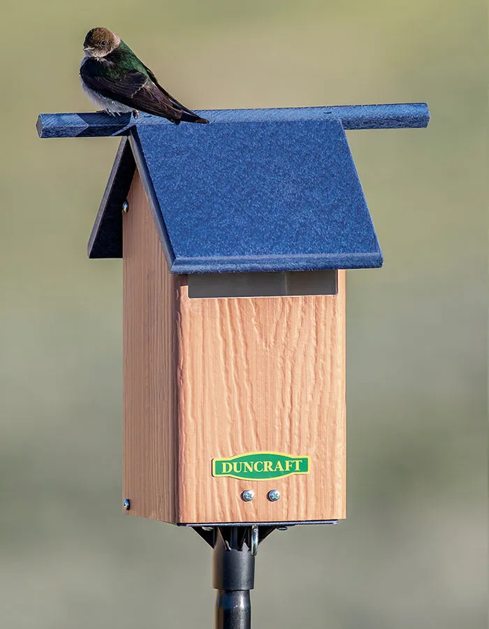 Duncraft Birds-Eye View Bluebird House and Pole