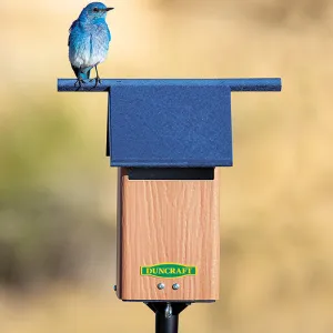 Duncraft Birds-Eye View Bluebird House and Pole