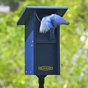 Duncraft Bluebird Swing Blocker House & Pole