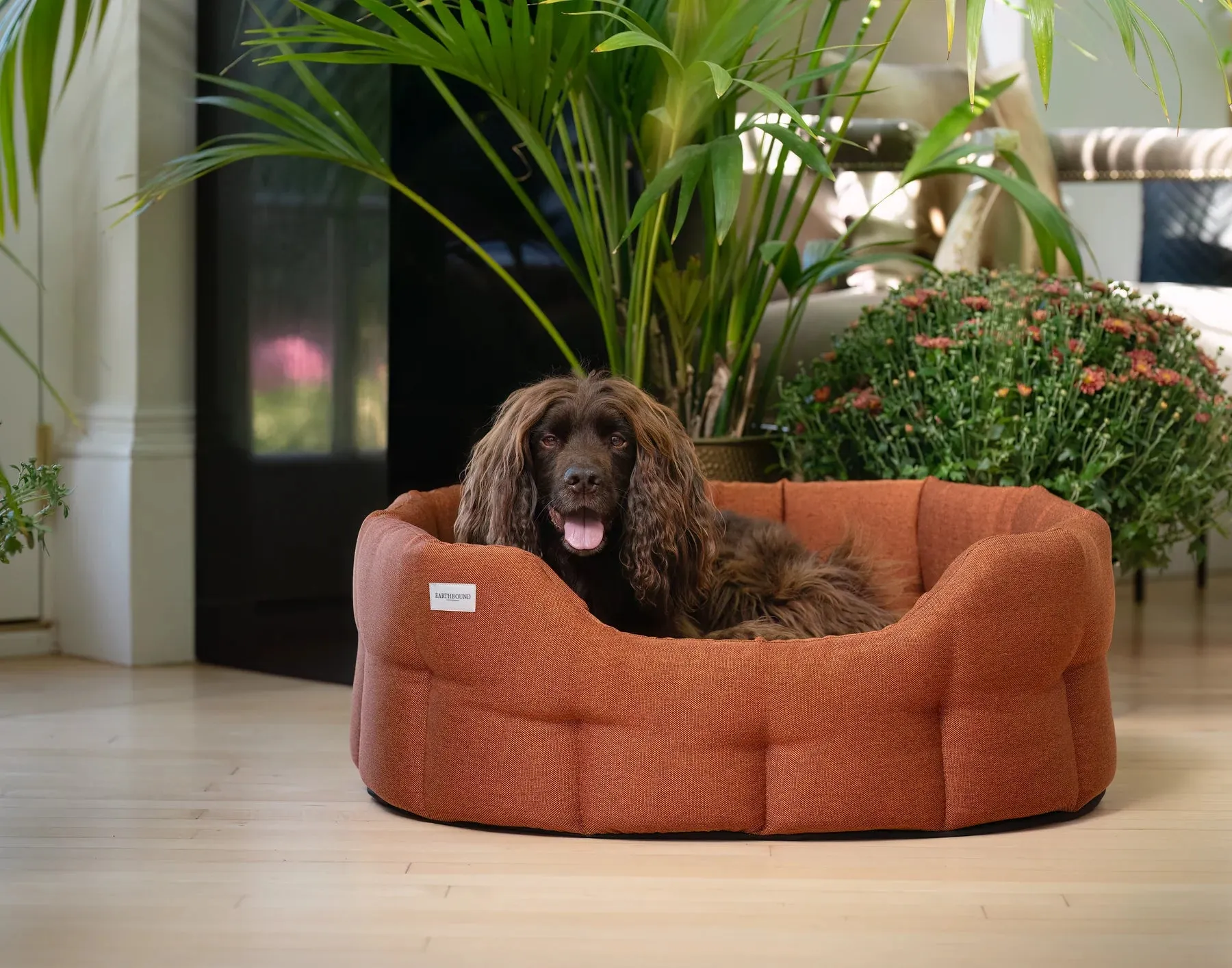 Earthbound Camden Burnt Orange Dog Bed