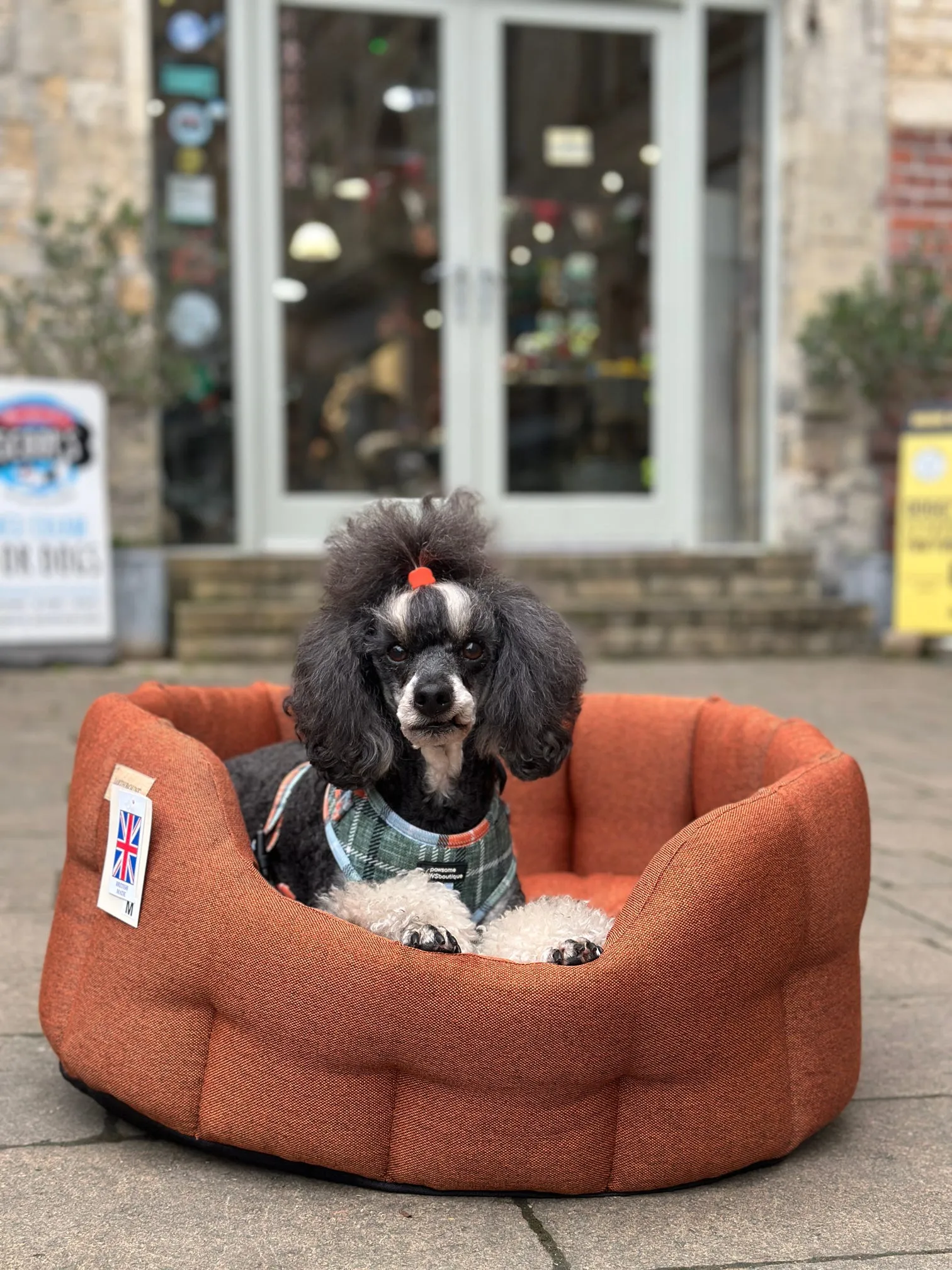 Earthbound Camden Burnt Orange Dog Bed