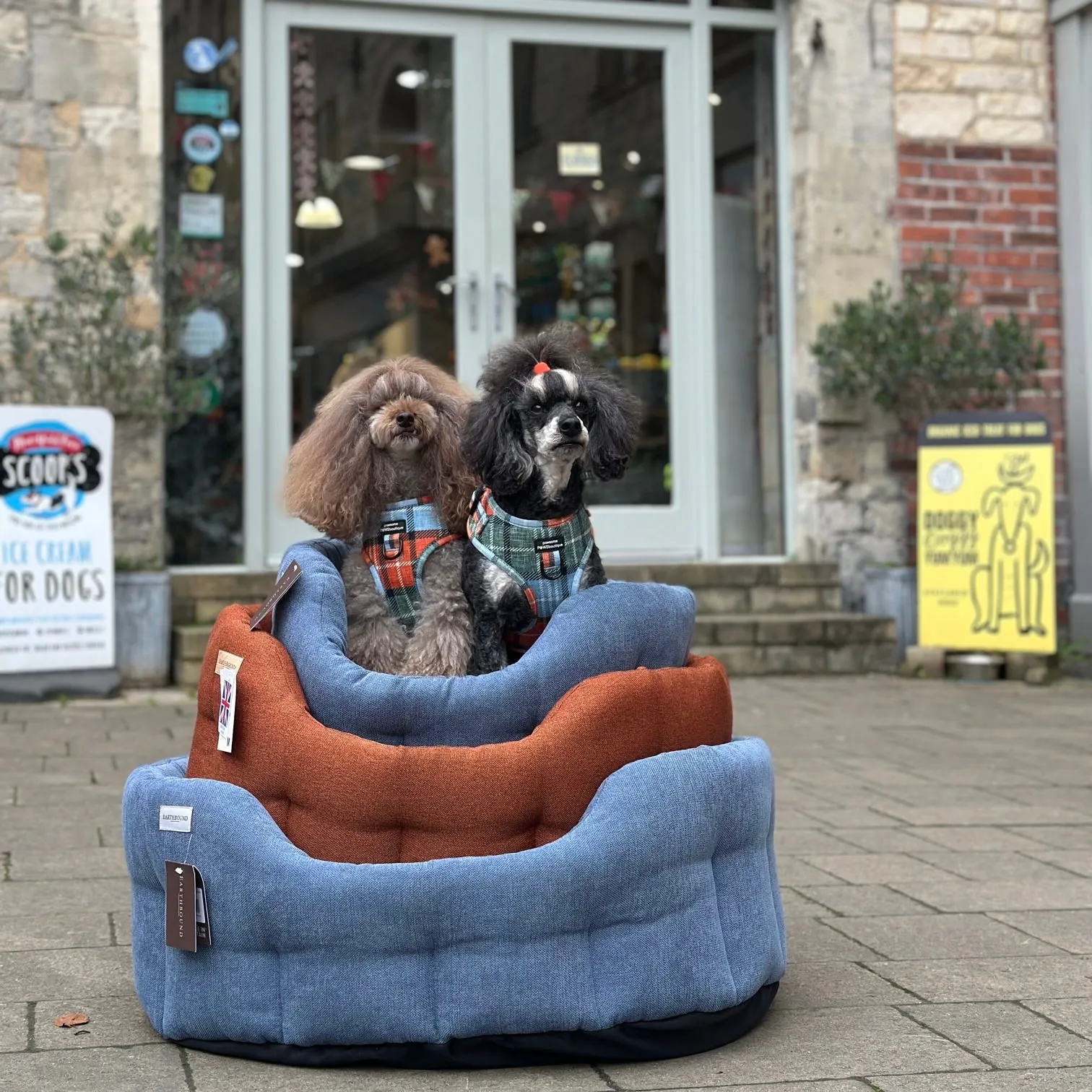 Earthbound Camden Burnt Orange Dog Bed