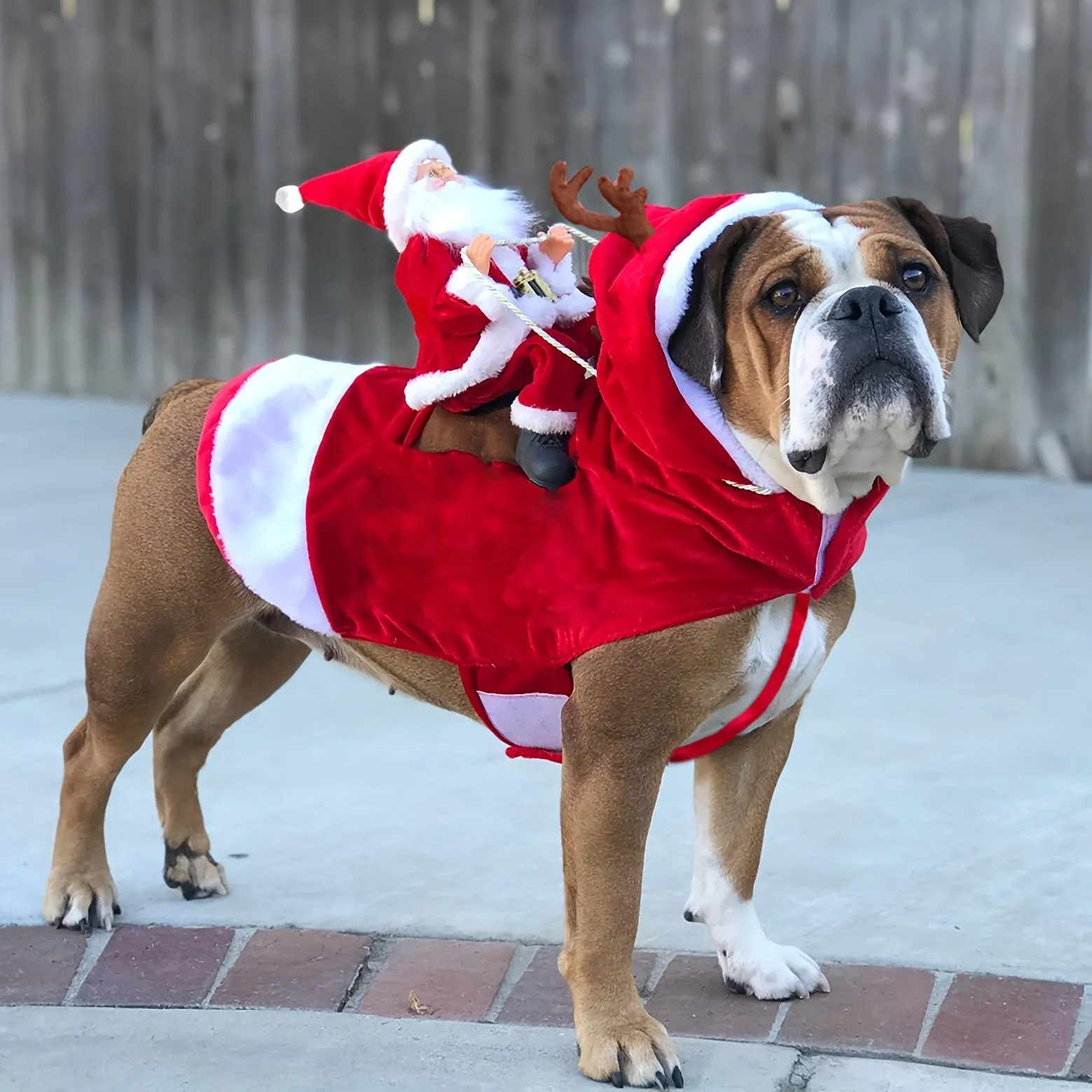 Festive Santa Claus Dog Costume with Adjustable Hook-and-loop Fastener - Red Plush Pet Outfit for Small to Large Breeds, Perfect for Christmas Parties & Photo Ops