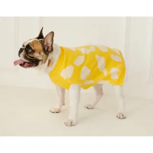 Pet Set Go Joey’s Sweater for Dogs and Cats (Yellow)