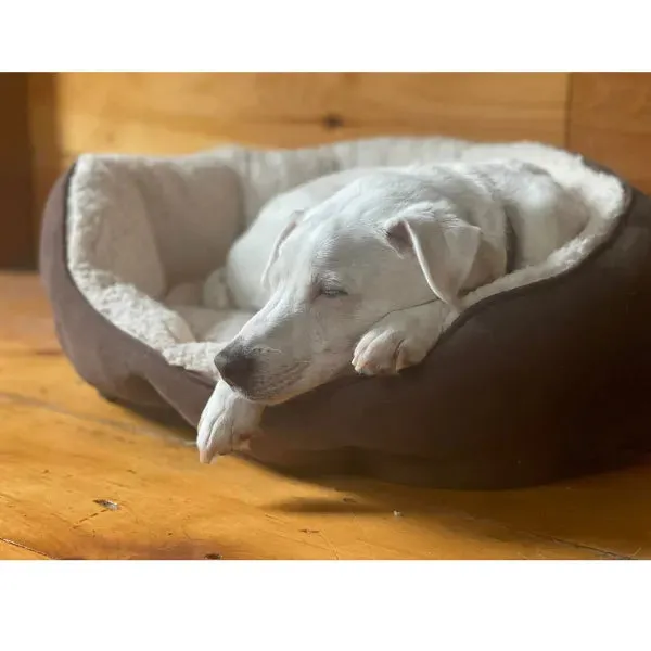 Slumber Pet ThermaPet Thermal Bolster Beds